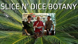 Slice n Dice Botany [upl. by Dnomsaj353]