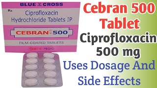 Cebran 500 mg Tablet Uses  Ciprofloxacin Tablets ip 500mg  Dosage And Side Effects [upl. by Calista]