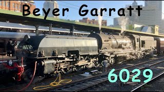 Australian Steam Trains Beyer Garratt 6029  In Review [upl. by Assiren]