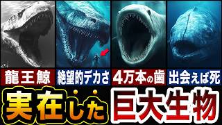 実在した海の巨大生物が怖すぎる…古代の巨大生物ランキングTOP5【ゆっくり解説】 [upl. by Jacquelynn]