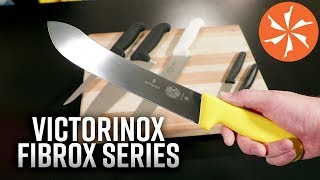 Victorinox Fibrox Forschner Affordable Kitchen Knives at KnifeCentercom [upl. by Ekaj878]