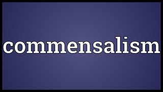 Commensalism Meaning [upl. by Esther]