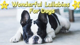 Relaxing Sleep Music For Dogs And Puppies ♫ Calm Your Dog Effectively ♥ Lullaby For Dogs [upl. by Bosch]