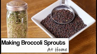 Broccoli Sprouts How to Grow Them at Home in a Jar [upl. by Tabbitha]