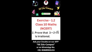 Exercise  12 Q  2 NCERT Class 10 Maths Solutions  Class 10 Maths Real Numbers Chapter  1 [upl. by Turk]