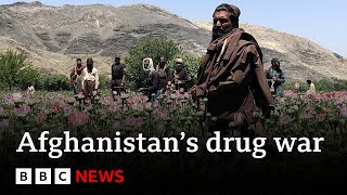 Inside the Talibans war on drugs  BBC News [upl. by Nickolai]