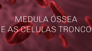 A medula óssea e as células tronco [upl. by Accire]