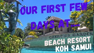 Chaweng Garden Beach Resort Koh Samui Thailand Chaweng Beach [upl. by Dan]