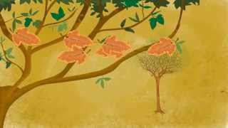 El otoño Autumn Song to learn the Seasons in Spanish for kids [upl. by Lenahc]