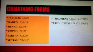 Medical Terminology Lesson 1 [upl. by Nahtam883]