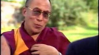 Dalai Lama kills a Mosquito [upl. by Alsworth441]