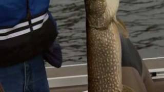 Canadian Sportfishing Mixed fish Horwood Lake Lodge Timmins ON Csf 23 23 02 [upl. by Pennebaker]