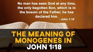 The Meaning of Monogenes in John 118 [upl. by Nabois695]