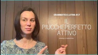 IL PIUCCHEPERFETTO ATTIVO LATINO [upl. by Anny]