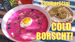 Cold Borscht  Lithuanian “pink soup”  Šaltibarščiai  Свекольник [upl. by Mcnair]