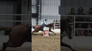 AMERICAN RODEO QUALIFIERS barrelracing equestrian horses horseriding [upl. by Nahor]