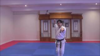 Karate Kihon commentary 2 by SKIF Sensei Katsu TJShuhari Shotokan Karate Association [upl. by Riccardo]