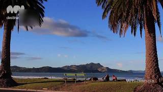 The Coromandel New Zealand [upl. by Heida613]