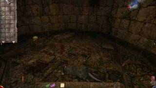 Arx Fatalis PC Gameplay [upl. by Hindorff]