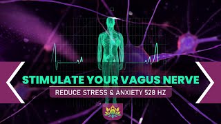 Stimulate Your Vagus Nerve  Awaken Body Power Increase Vagal Tone  Reduce Stress amp Anxiety 528 Hz [upl. by Subir870]