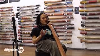 What is a Didgeridoo  Learning the Didgeridoo [upl. by Lezley]