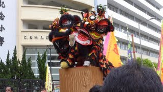 舞獅  南獅  醒獅  元朗天后誕 2013 SouthernCantonese lion dance  Yuen Long Tin Hau Festival 2013 [upl. by Selrahcnhoj832]