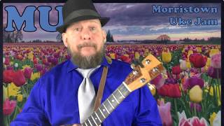 Tiptoe Through The Tulips ukulele tutorial by MUJ [upl. by Ahsotan]