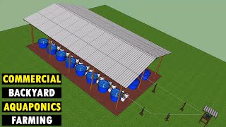 Commercial Backyard Aquaponics Farming Fresh Fish and Vegetables  Aquaponic System [upl. by Godspeed]