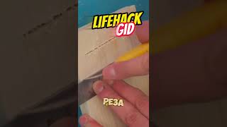 Универсальные советы для дома Больше интересного в телеграм lifehacks diy tools tips shorts [upl. by Ahtnicaj777]