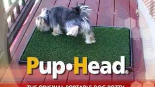 PoochPad Products Indoor Turf and Pad Potty Systems [upl. by Cedell]