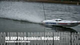 Venom King of Shave® P1 Brushless RC Powerboat [upl. by Mohl]