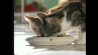 Whiskas Werbespot Mitte der 1990er [upl. by Chlo347]