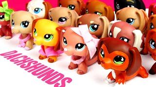 All My LPS Dachshunds UPDATED [upl. by Ettennil]