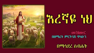 Mirtnesh Tilahun New mezmur Eregnaye neh may 28 2015 [upl. by Ferguson]