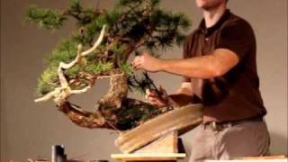 Ryan Neil demo Noelanders Trophy 2011wmv [upl. by Yhtac424]