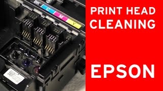 Epson print head cleaner nozzle cleaning  flushing clogged nozzles [upl. by Tavis]