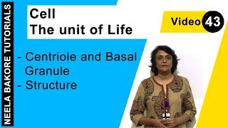 Cell  The Unit of Life  NEET  Centriole and Basal Granule  Structure  Neela Bakore Tutorials [upl. by Ovatsug]