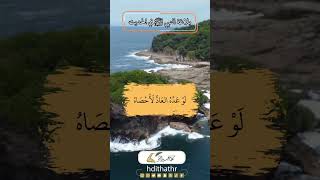 بلاغة النبي ﷺ في الحديث كلامخيرالبشر [upl. by Hasheem974]