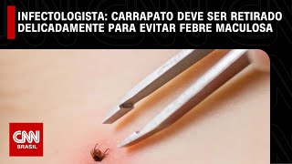 Carrapato deve ser retirado delicadamente para evitar febre maculosa diz infectologista  LIVE CNN [upl. by Wileen820]