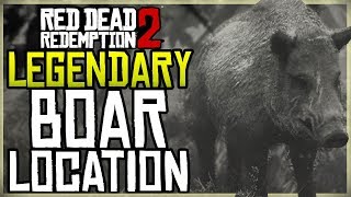 WHERE TO FIND THE LEGENDARY BOAR LOCATION  HUNT  RED DEAD REDEMPTION 2 [upl. by Dunn478]