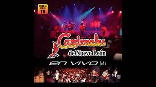 LOS CARDENALES DE NVO LEON EN VIVO 2011 [upl. by Rehpotsirc]