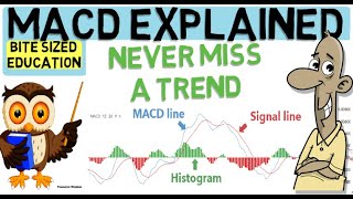 MACD INDICATOR EXPLAINED Trade with the trend [upl. by Akemrehs]