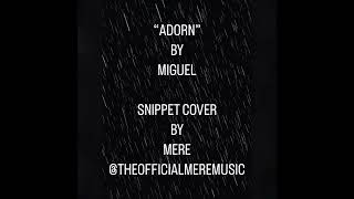 Miguel Adornmiguel  snippetcover by Theofficialmeremusic [upl. by Stauffer]