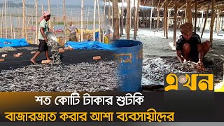 মেঘনা নদীরপাড়ে চলছে দেশীয় মাছের শুটকি উৎপাদন কার্যক্রম  Brahmanbaria News  Dry Fish  Ekhon TV [upl. by Malaspina]