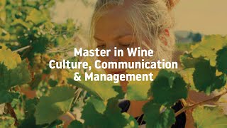 Master in Wine Culture Communication amp Management [upl. by Strage]