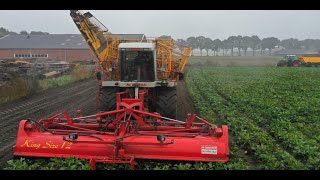 Unique Agrifac 12 rows  Sugarbeet Harvest 2019  Fendt 724  936  Suikerbieten rooien  Berkers [upl. by Assirt]