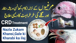 Murgiyon Ke Nazla ZukamReshaSans aor Khansi Ka Desi ilaj  Crd Ka Desi ilaj  Crd in Poultry [upl. by Nosneh]