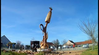 Le sculpteur sur bois à la tronçonneuse Jacques Pissenem redonne vie à un orme centenaire [upl. by Ellenrahs]