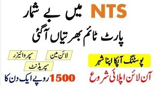 NTS Jobs 2024 Advertisement Apply Online – National Testing Service Jobs [upl. by Nnailuj867]