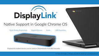 Native Support in Google Chrome OS [upl. by Ferullo]